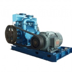 2BE Series Water Ring Vacuum Pumps